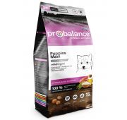 ProBalance Immuno Puppies Maxi корм сухой для щенков крупных пород 15 кг