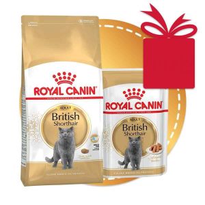 Royal Canin Комплект «Британская короткошерстная 2,0 кг + паучи 4*0.085кг кг»